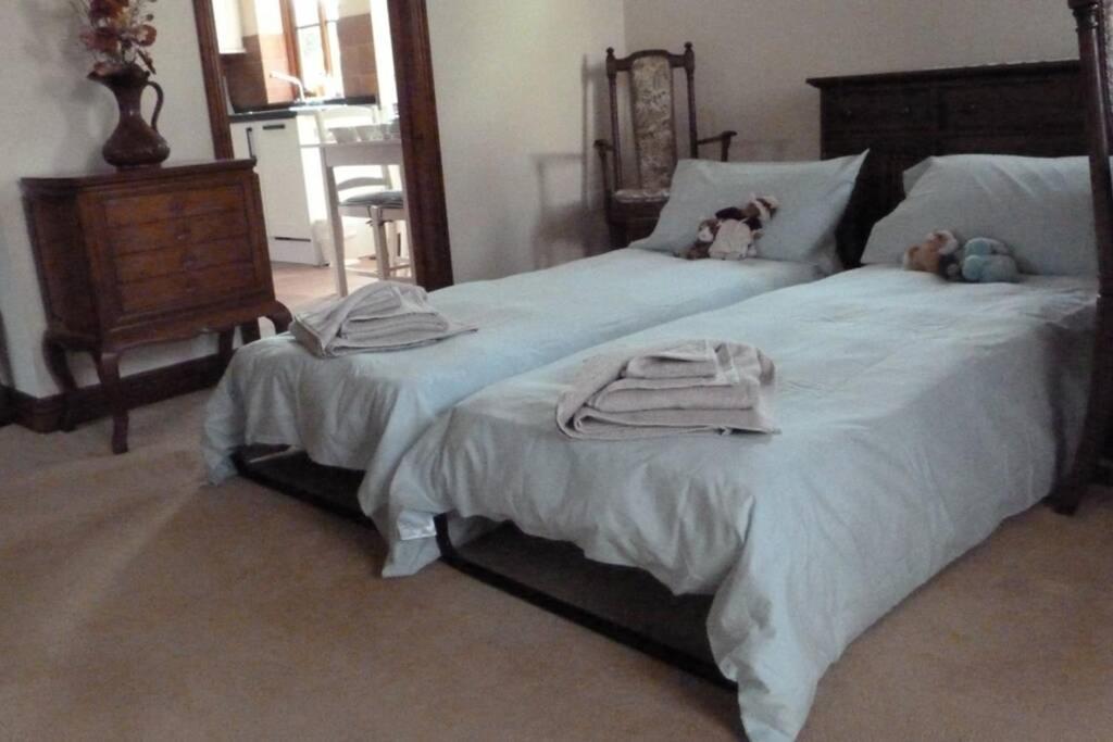 Willow Apartment Lydbury North